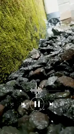 Relaxing Music