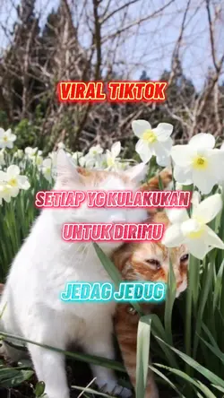 setiap yg kulakukan