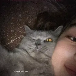 im stuck with you 