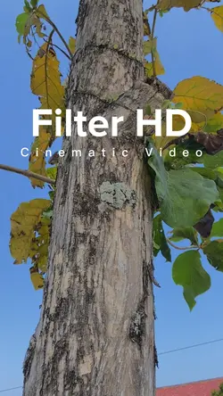 Cinematic Filter HD