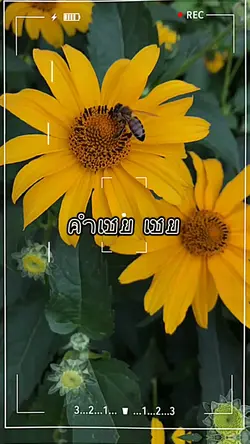  คำเชยเชย