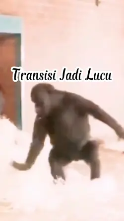 Jadi Kongkong