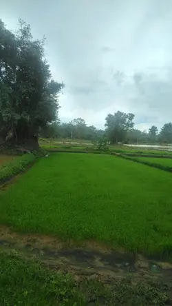 ບ້ານເຮົາ