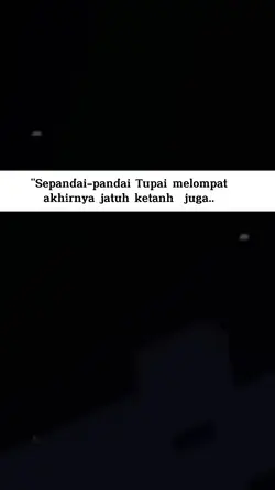 tupai..