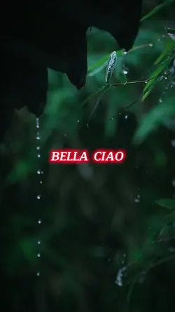 [9] Mẫu Chiến 📍