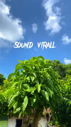 Sound jj x slowmo