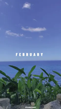 FEBRUARY 