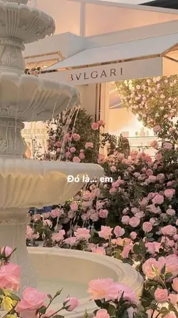 Mẫu 2 Pic xinh