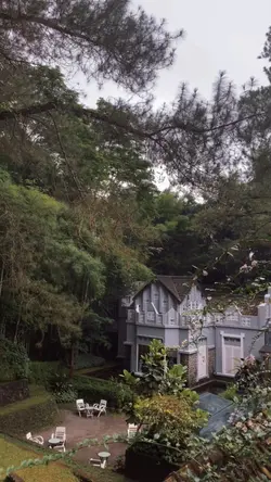 Aesthetic video