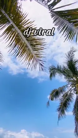 dj viral