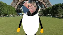 versi ber 5 nich