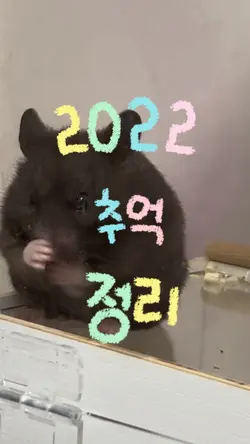 2022 추억 정리❤️‍🔥