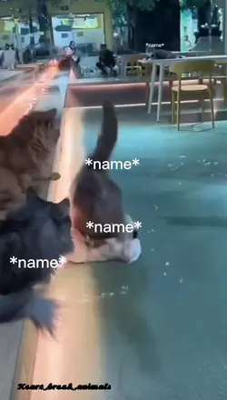 ...