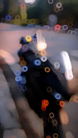 Mẫu 2 video