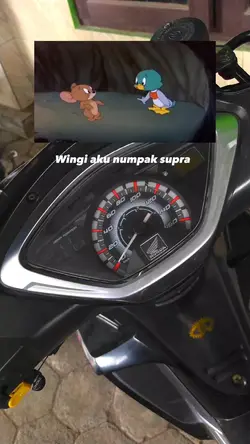 Tom jerry dan bebek