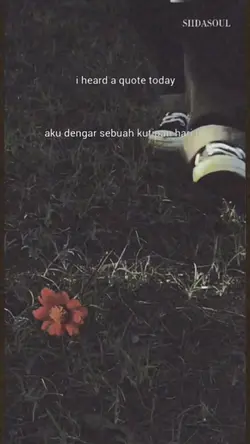 kutipan hari ini