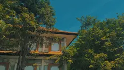 Called life