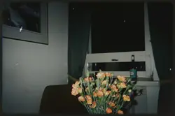 film frame 1