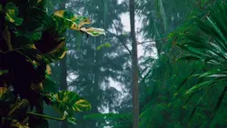 hujan aesthetic