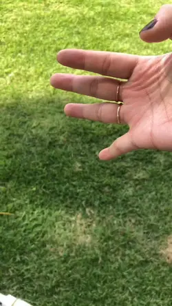 1 vid 3 detik