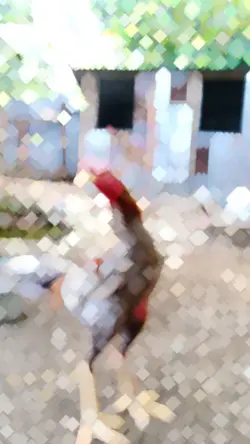 Ayam bangkok mirror