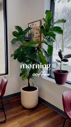 morning coffee