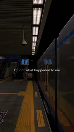 Not What Happened