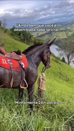 Motivacional 