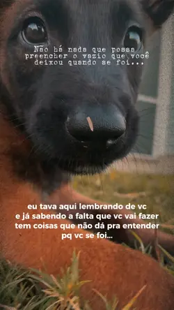 Deixou saudade 