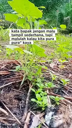 vlog petani muda