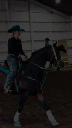 Slow mo horse edit