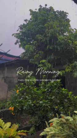 Rainy Morning 🌨️