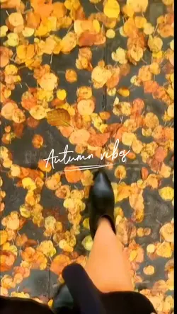 Autumn vibes