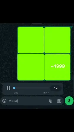 olum sen embesilmisi