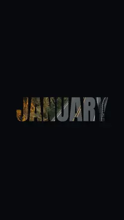 January Moments