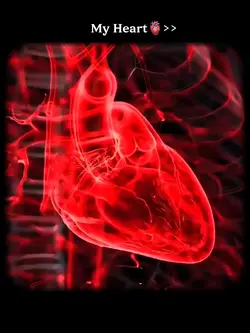 My Heart 🫀