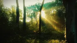 Aesthetic 1 Clips