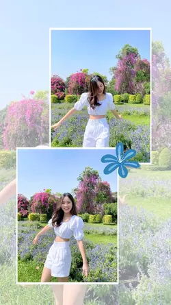 aesthetic frame