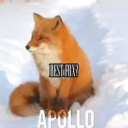 sweeitie fox edit