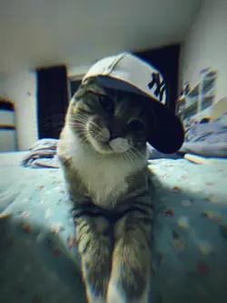 easthetic blurr