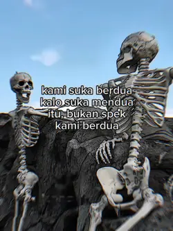 versi no mirror