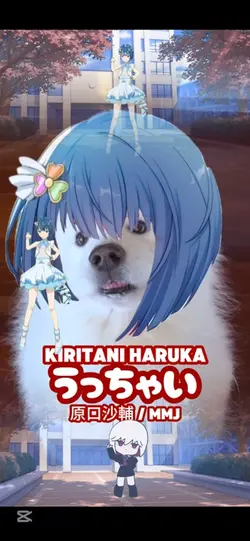 UTCHEI HARUKA MMJ