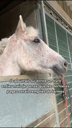 Remplies de larmes 