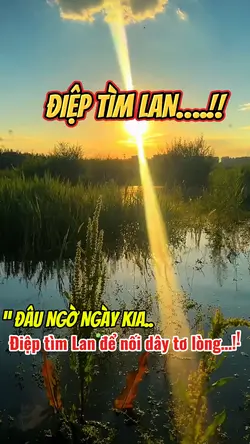 Điệp tìm Lan