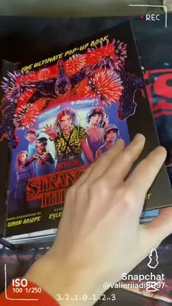 stranger things book