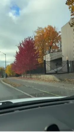 Fall vibes on road