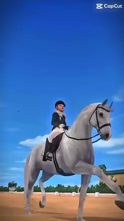 Sso dressage