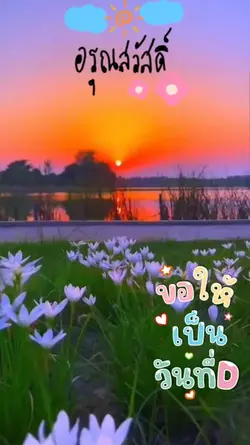 อ้อ ว.