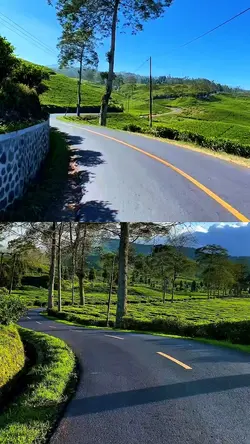 2 video collage