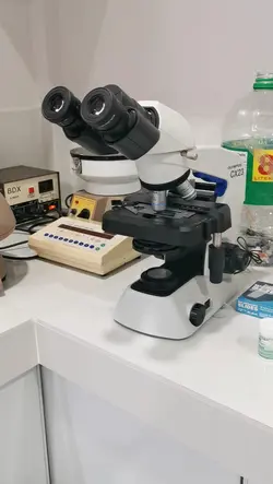 Science 